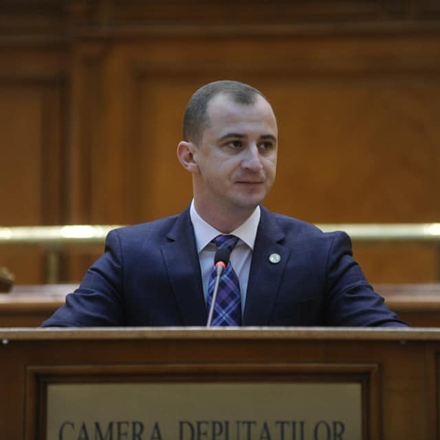 Decizii în Camera Deputaților, anunțate de liderul grupului PSD