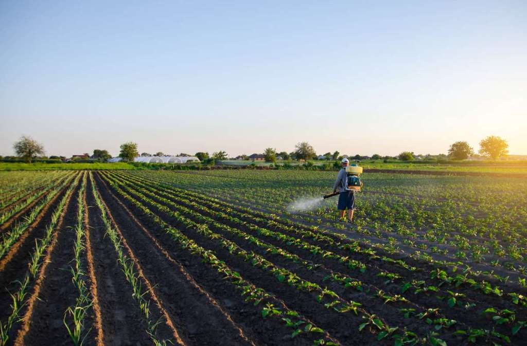 Comisia Europeană: România trebuie să folosească mai puține pesticide