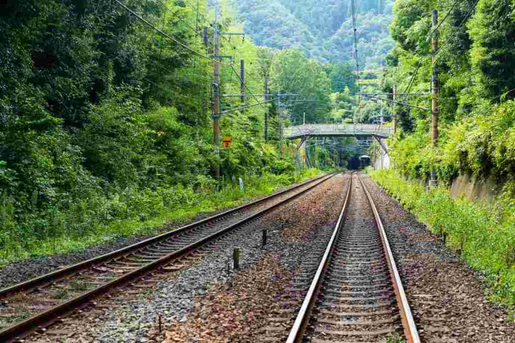 Bistrița nu va mai avea tren direct până la București | Președintele PNL Bisitrița-Năsăud a rugat un membru PSD să&nbsp;intervină